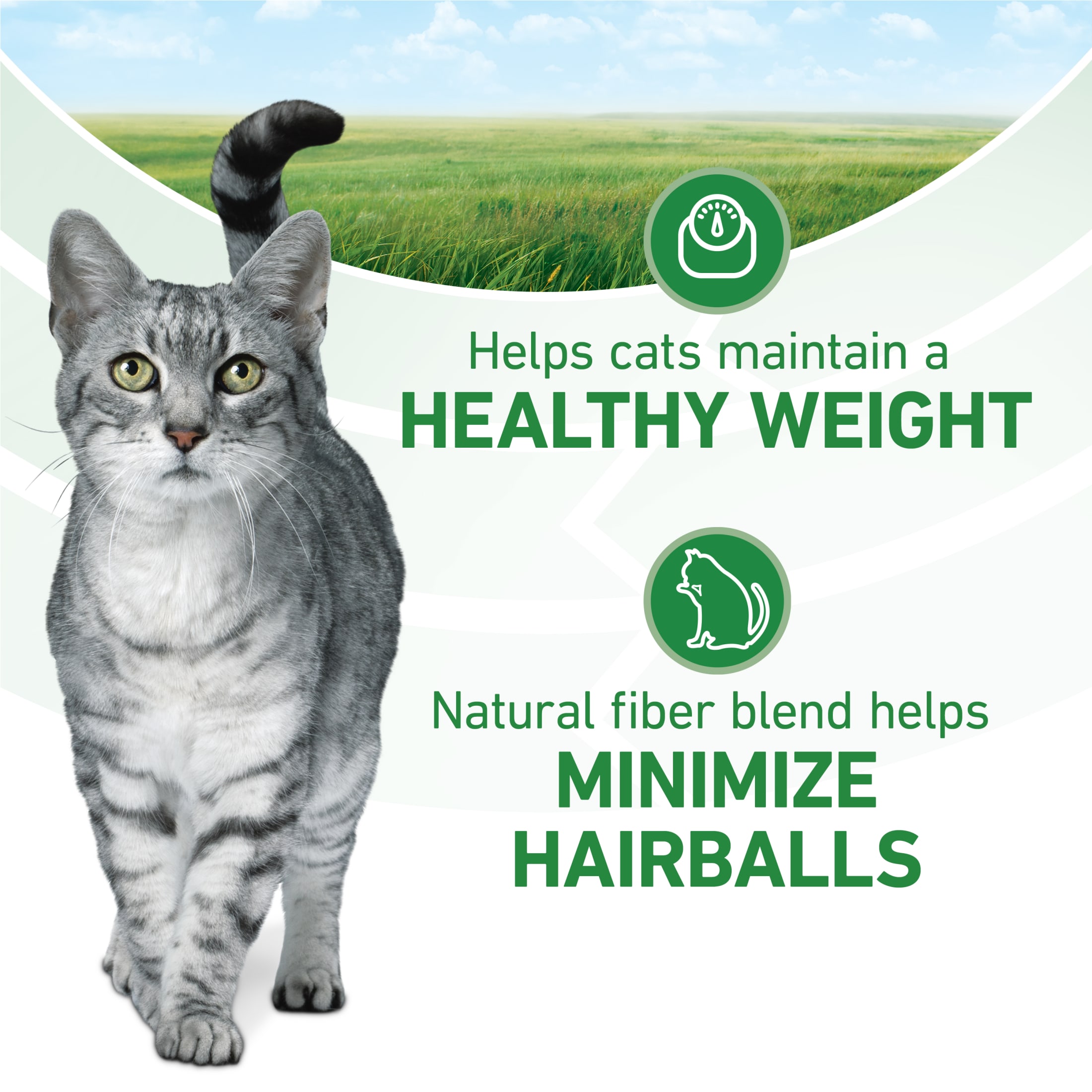 Purina ONE Plus Indoor Cat Food Turkey, 4 Pack photo 4