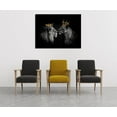 thumbnail image 2 of HFDF Lion and Lioness Pictures Wall Decor Wild Animals Wall Art Black and White Artwork Lion with the Crown Posters Canvas Prints Art Living Room Bedroom Kitchen Home Office Decor- 20x16inch Framed, 2 of 6