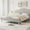 Grey Full, variant on Danolapsi Twin/Full/Queen Size Bed Frame with Adjustable LED Headboard and Footboard, Velvet Upholstered Princess Platform Bedframe with Wooden Slats Support, No Box Spring Needed