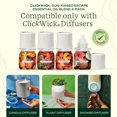 thumbnail image 2 of Mezclas de aceites esenciales Lifelines ClickWick, paquete de 4 unidades Sun-Kissed, 2 of 7