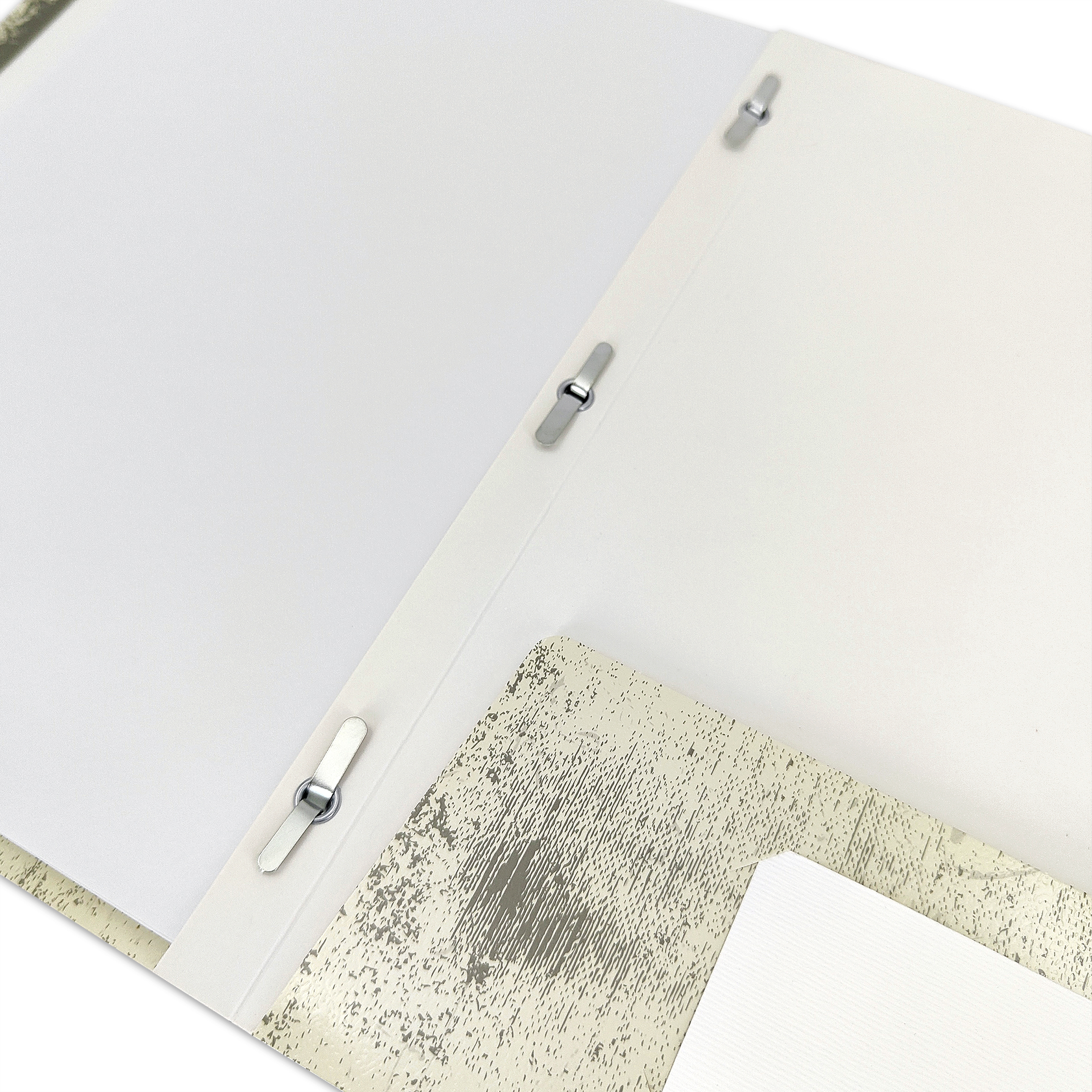 Carpeta de papel con 2 bolsillos y 3 pestañas Pen+Gear, lagartijas beige y negras 7