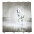 thumbnail image 3 of Ambesonne Animal Shower Curtain, Wild, 69"Wx84"L, Black and White, 3 of 5