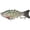 E, variant on Fishing Lures Multi Jointed Fish Fishing Kits,Slow-Sinking Lifelike Segmented Swimbait Crankbaits for Bass, Trout, Crappie, Walleye, PikeFreshwater and Saltwater