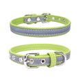 thumbnail image 1 of Collier pour Chien Laisse Réfléchissante Plaque en Acier Inoxydable Lettrage Lumineux Collier pour Animaux Vert/g, 1 of 1