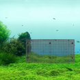 thumbnail image 2 of 4pcs Aquarium Dividers: Fish Tank Separator with Suction Cups - DIY Cuttable Isolation Board - Reusable Partition Grid for Separating Fishes, 30x15cm, 2 of 3