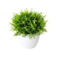 thumbnail image 1 of zhangmingg Bonsai Tree Miniature Potted for Home Desk and Living Room Interior Design, 1 of 5