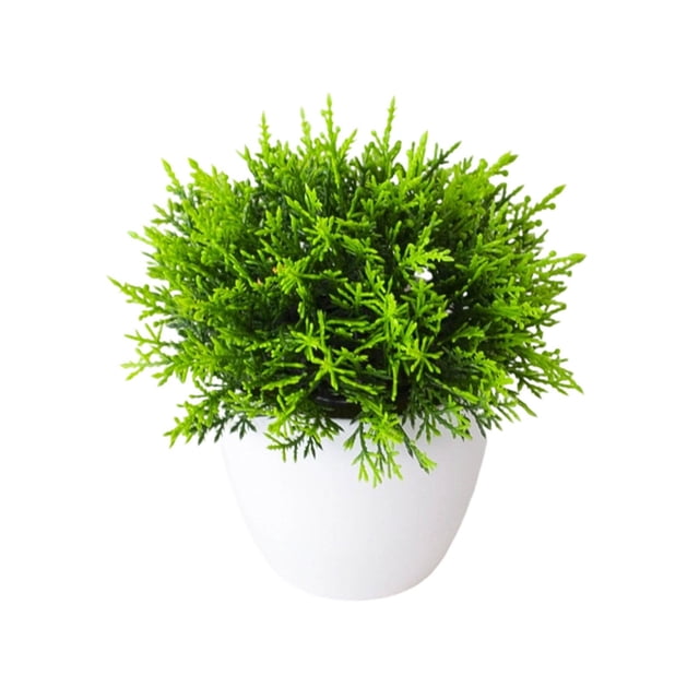 zhangmingg Bonsai Tree Miniature Potted for Home Desk and Living Room Interior Design