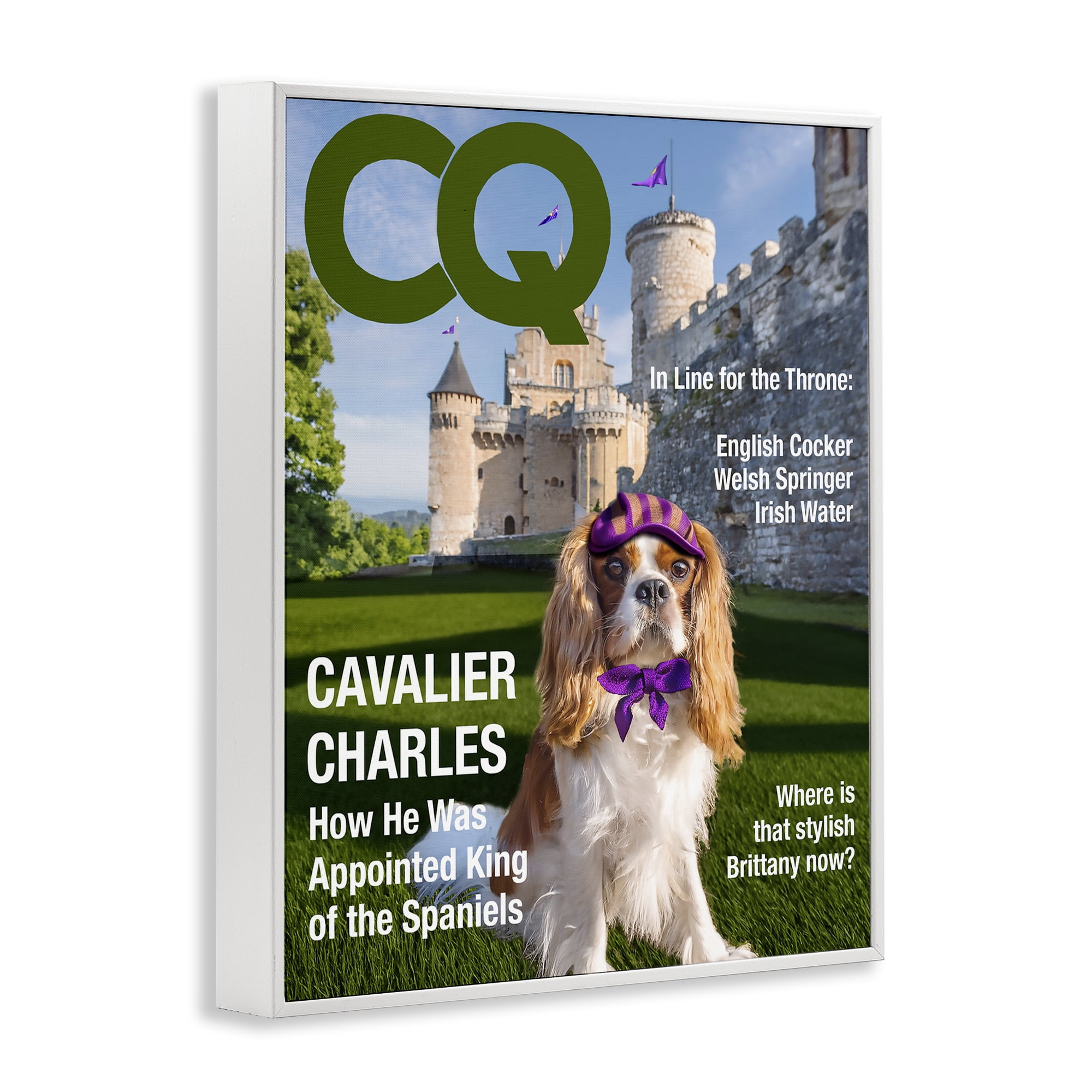 Stupell Industries Royal Cavalier Magazine White Framed Giclee Art, design by Grotto Studios