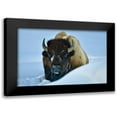 thumbnail image 1 of Suradji, Surjanto 14x11 Black Modern Framed Museum Art Print Titled - Winter Bison, 1 of 5
