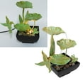 thumbnail image 3 of Decoración De Fuente De Agua Para Sala De Estar, Fuente Pequeña USB, Decoración De Agua, Relajación, Pájaro, Loto, Forma De Hoja Para Oficina, 3 of 7