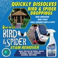thumbnail image 3 of SPIDER & BIRD STAIN REMOVER 22 OZ., 3 of 4