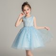 thumbnail image 1 of Robe de Princesse pour Fille, Cadeau d'Anniversaire, Robe de Demoiselle d'Honneur, Col Rond, Sans Manches, Nœud Solide, Robe de Princesse, 1 of 4