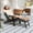 Black, variant on Costway Patio Adirondack Chair All-Weather HIPS Lounge Chair with Retractable Footrest Black