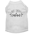 thumbnail image 6 of Pet Dog  Cat Shirt Screen Printed, "Not Today Satan", 6 of 10
