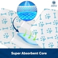 thumbnail image 4 of Pañales para perros American Kennel Club para hombre, desechables, pequeños, 50 unidades, 4 of 8