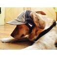 thumbnail image 5 of Pet Dog Sports Sun Hat Sunscreen Suitable for Small, Medium and Large Dogs Brown M, 5 of 5