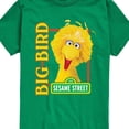 thumbnail image 3 of Sesame Street - Big Bird Photo - Toddler and Youth Short Sleeve Graphic T-Shirt, 3 of 5