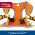 thumbnail image 3 of Arnés para perros Coastal Comfort, suave y reflectante, ajustable de 16 a 19 cm, 3 of 7