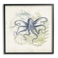thumbnail image 3 of Stupell Industries Weathered Sea Life Overlay Pattern Aquatic Octopus Graphic Art Black Framed Art Print Wall Art, Design by Victoria Barnes, 3 of 5