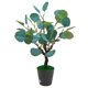 thumbnail image 1 of Lámpara de noche de árbol de luz, enchufe USB, decoración de dormitorio con forma de planta LED (hoja de eucalipto), 1 of 9