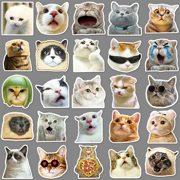500 Pegatinas De Gato Adorables – Rollo Decorativo De PVC Con Diseños De Gatitos – Ideal Para Cuadernos, Botellas, Sobres Y Manualidades – Fácil De Pegar Y Duradero