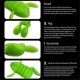 thumbnail image 4 of D Frog Soft Bait Kicking Frog Lure Bait Suitable for All Kinds of Carnivorous Fish, Soft Bait, 4 of 5