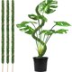 thumbnail image 2 of Poste De Musgo Para Plantas Monstera Bendable Lover Gifts Soporte De Planta De Coco Alto Trepadoras Para Escalada, 2 of 4