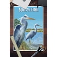 thumbnail image 2 of Maryland, Blue Herons Scene (12x18 Wall Art Poster, Room Decor), 2 of 3