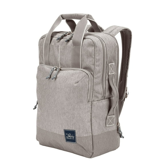 Skyway Luggage Rainier Deluxe Laptop Backpack, Adult, 19L