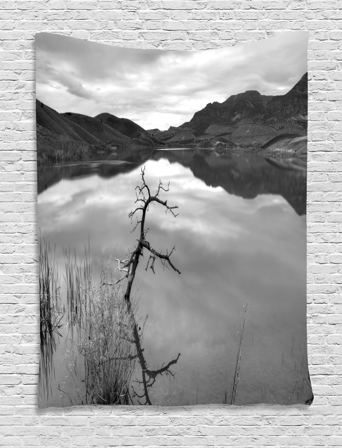 Black and White Tapestry, Scenic Tranquil Landscape with Lake Nature