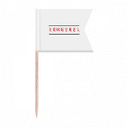 Chinese Online Words Born In 1990s Toothpick Flags Labeling Marking for Party Cake Food Cheeseplate