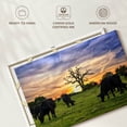 thumbnail image 6 of Elephant Stock Grazing Aberdeen Angus Wall Art - Horizontal Canvas Wall Art - Living Room Wall Decor - Animal Canvas - Black And Orange Decor - 36" x 24", 6 of 8