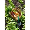 thumbnail image 4 of Heirloom Vegetable & Herb Seed Kit – 15 Variety Garden Pack – Non-GMO Seeds for Planting – Includes Tomato, Lettuce, Cucumber, Onion, Broccoli & More, 4 of 7