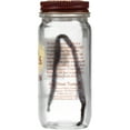 thumbnail image 3 of Spice Islands Bourbon Vanilla Bean, 3 of 4