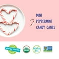 thumbnail image 3 of YumEarth Holiday Organic Mini Candy Canes, 6.34 oz, 30 Count Box, 3 of 9