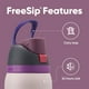 thumbnail image 2 of Owala FreeSip Insulated Stainless Steel Water Bottle with Straw for Sports and Travel, BPA-Free, 32oz, Dreamy Field, 2 of 6