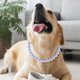 thumbnail image 5 of Collar para perro Hosiwei Chunky Pearl con alambre de acero inoxidable, 5 of 6