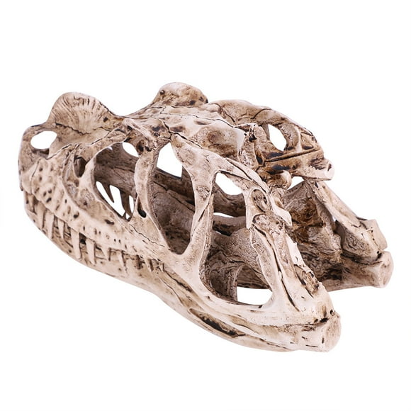 Dinosaur Skull, Resin Dinosaur Skull Model Skull Sculpture Resin Replica Head Skull SculptureFigurine Craft Teaching Prop Home Desktop Decor