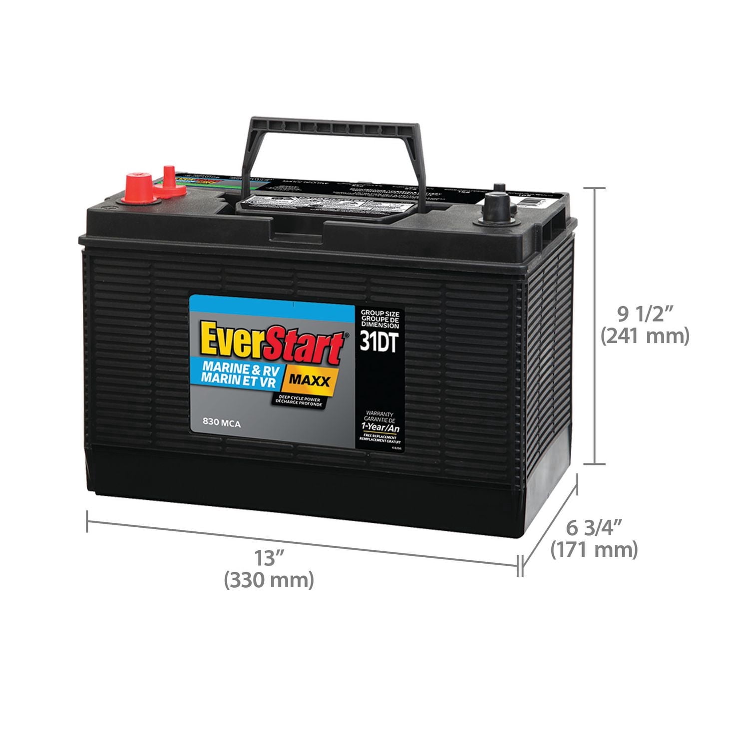 EverStart MARINE MAXX-DC31DT, 12 Volt, Marine/RV Battery, Group Size 31, 800 MCA