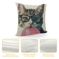 thumbnail image 4 of GOSMITH  Throw Pillow Covers Cat Pillow Cases Animal Kitty Pillowcase Cushion Cover for Couch Bed Sofa Patio Car, 4 of 5