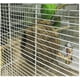 thumbnail image 4 of Nido de pájaro, nido de loro, nido de paja, nido de cría, jaula de cáscara de coco Natural, puede mantener mascotas, loro, canario, Paloma, hámster JAMW Sencillez, 4 of 5