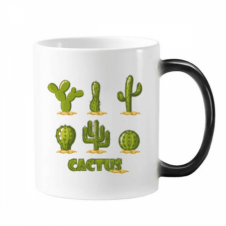 

Succulents Potted Cactus Pattern Changing Color Mug Morphing Heat Sensitive Cup With Handles 350 ml