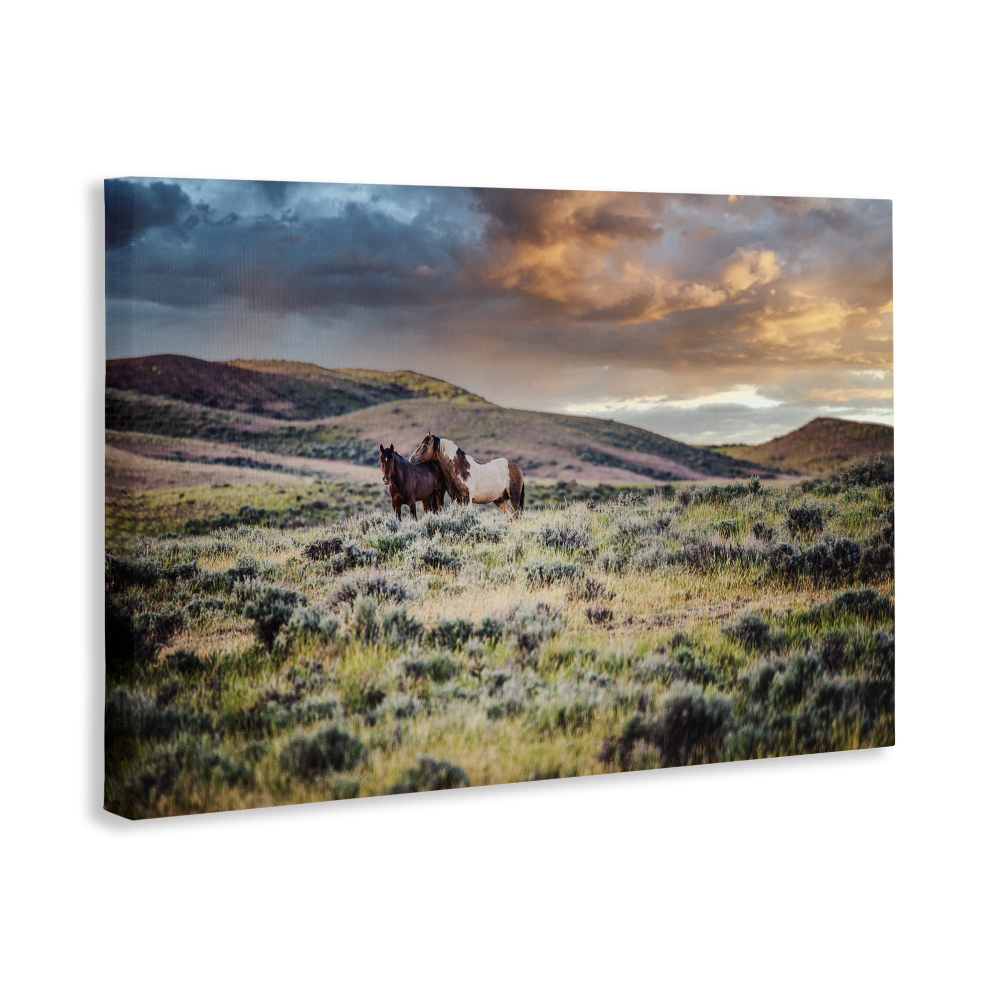 Stupell Industries Stay Close Horses Canvas Wall Art, design by Tim West