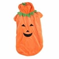 thumbnail image 1 of Pumpkin Dog Clothes, Eye Catching Colors Dog Autumn Clothes  For Golden Retriever For Medium Large Dogs Orange 3XL, 1 of 8
