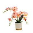 thumbnail image 3 of Flor Artificial de orquídeas de imitación, decoración realista, arreglo de flores, plantas en macetas, decoraciones de bonsái para dormitorio de boda Rosa, 3 of 8