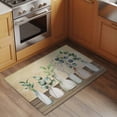 thumbnail image 2 of Entryway Rug 2'x3', Farmhouse Botanical Small Rug for Kitchen Bathroom Door Mat Indoor Entrance, Bottles Plans Country Brown Wooden Grain Non-Slip Area Rugs Floor Mats Carpet Front Door Rugs, 2 of 8