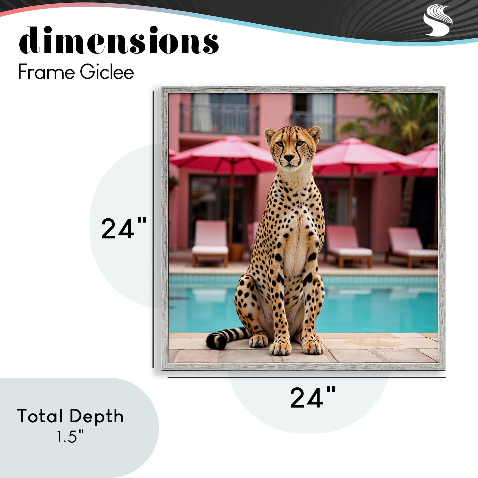 Cheetah Posed at Poolside Gray Framed Giclee Art, design by Lettered and Lined
