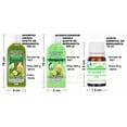 thumbnail image 4 of Bergamota Balance 9X 500 VIVONATURAL. 3 Shampoos Aceite de Bergamota 500 ml + 3 Acondicionadores Aceite de Bergamota 500 ml +3 Aceites Escenciales de Bergamora 10 ml, 4 of 5