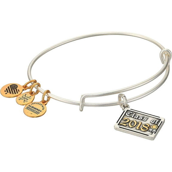 Alex and Ani Womens Class of 2018 EWB Bangle Bracelet, Expandable