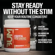 RAW Nutrition Essential Performance Non-Stim Pre-Workout, Blue Raspberry, 30 Servings